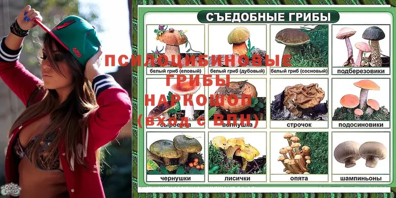 купить закладку  Лодейное Поле  Псилоцибиновые грибы Magic Shrooms 