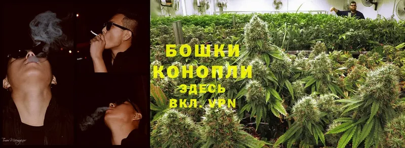 где купить   Лодейное Поле  Каннабис THC 21% 